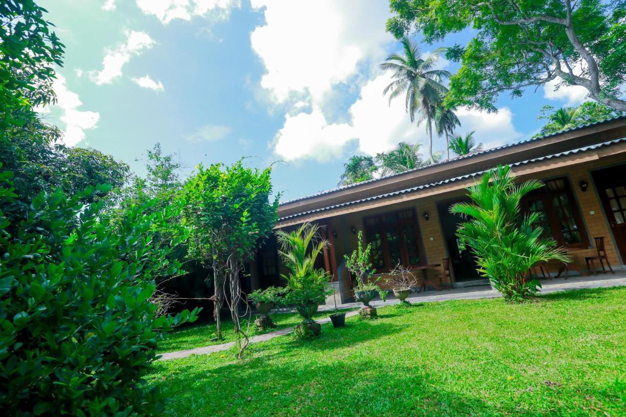 Dandelion - Unawatuna Exterior foto